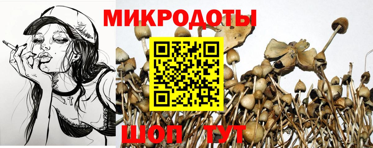 Псилоцибиновые грибы ЛСД  Вход с VPN  Луга 